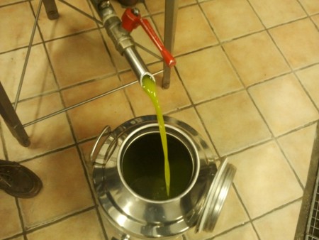 Frisch gepresstes eigenes Olivenöl